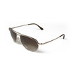 Tom Ford William Sunglasses / Gold Tom Ford William Sunglasses / Gold