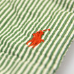 Polo Ralph Lauren Hawaiian Stripe Swim / Green