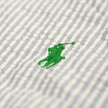Polo Ralph Lauren Hawaiian Stripe Swim / Blue Polo Ralph Lauren Hawaiian Stripe Swim / Blue